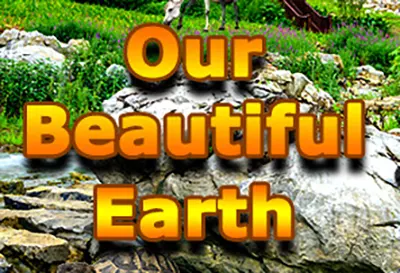 我们的美丽地球 (Our Beautiful Earth) 简体中文|益智休闲游戏202306030328028.webp天堂游戏乐园